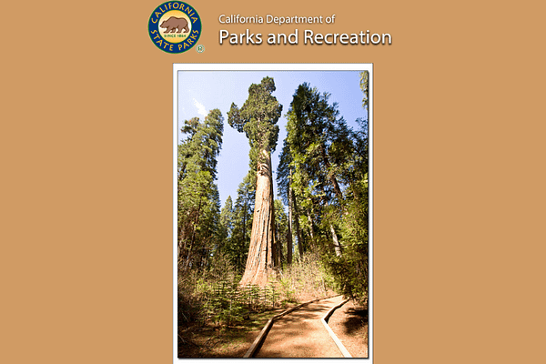 Big Trees California State Park