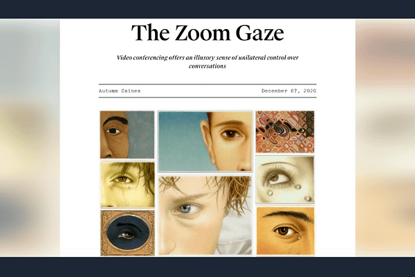 The Zoom Gaze, by Autumm Caines