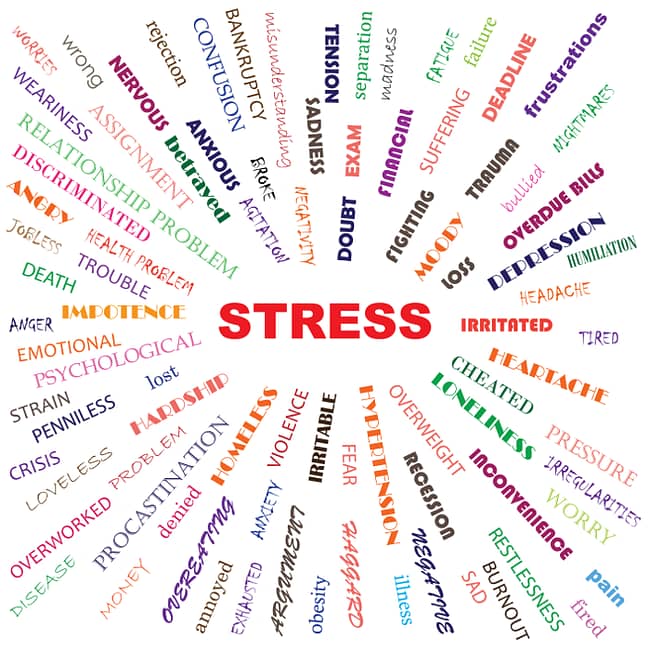 Stress