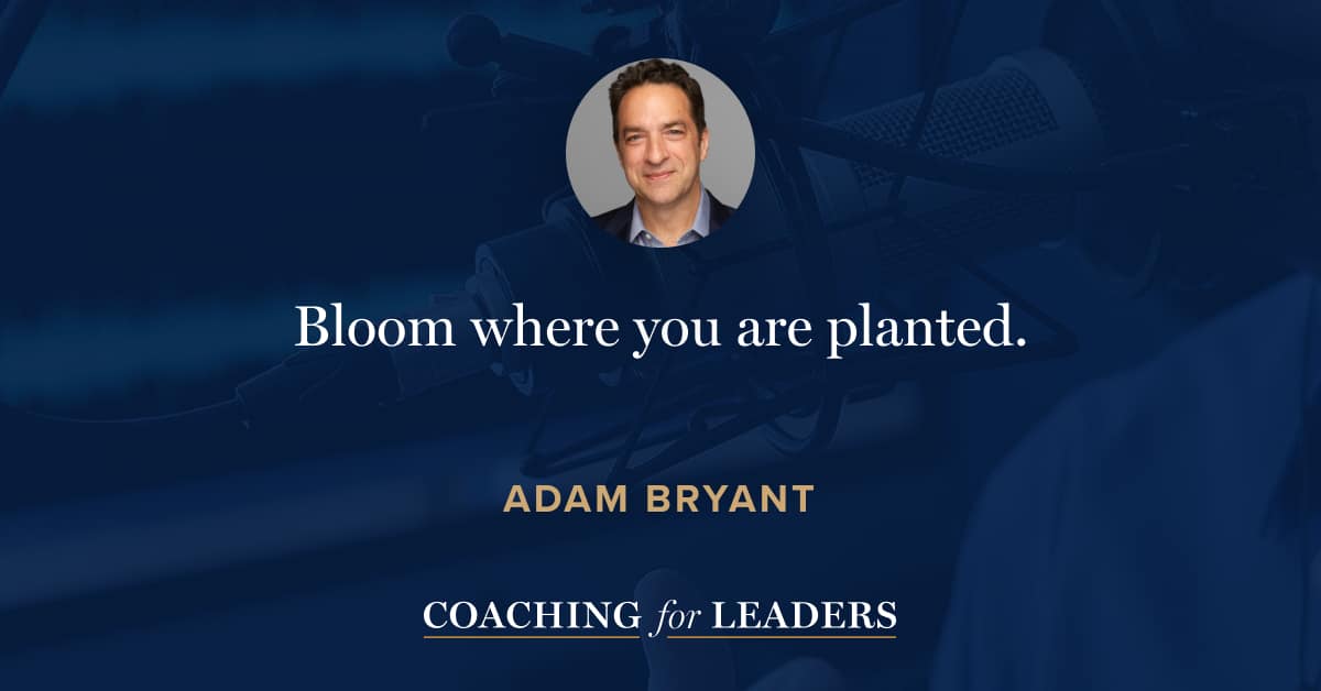Bloom where you are planted.