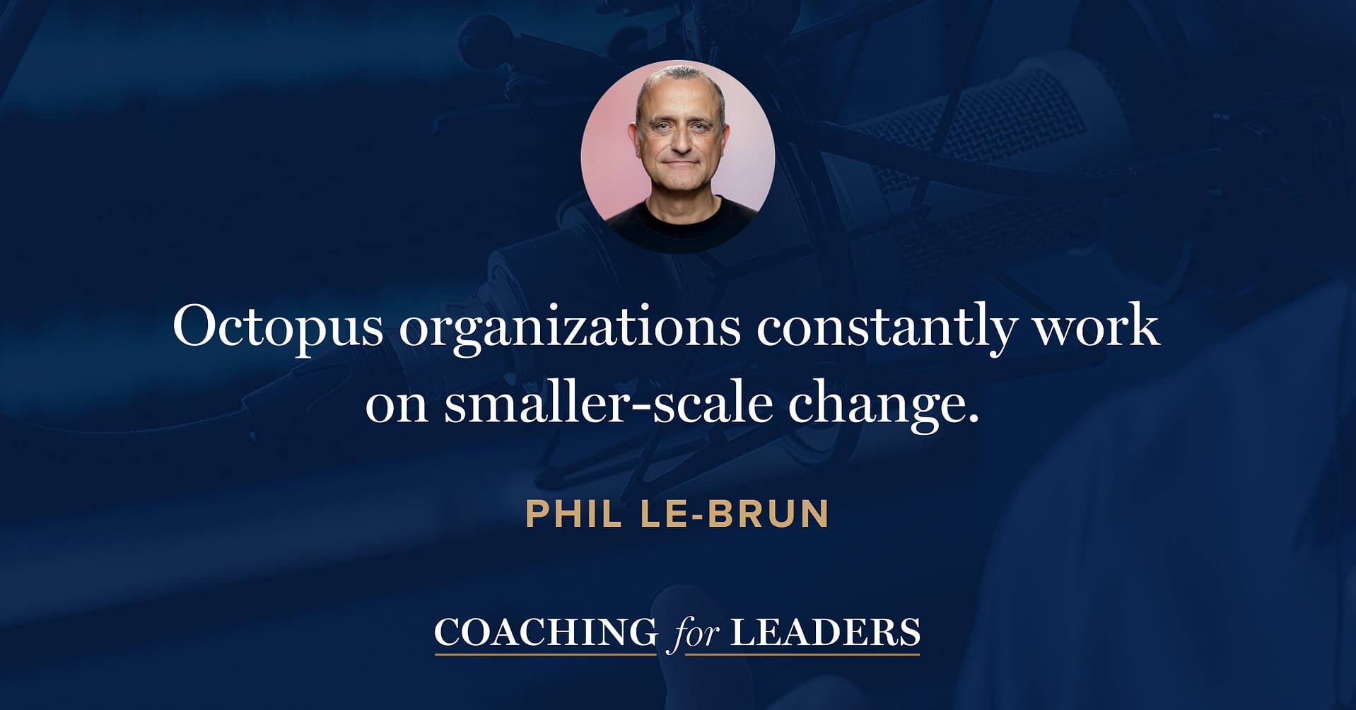 Octopus organizations constantly work on smaller-scale change.