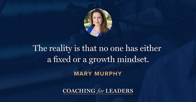 The reality is that no one has either a fixed or a growth mindset.