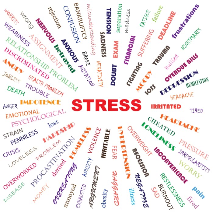 Stress