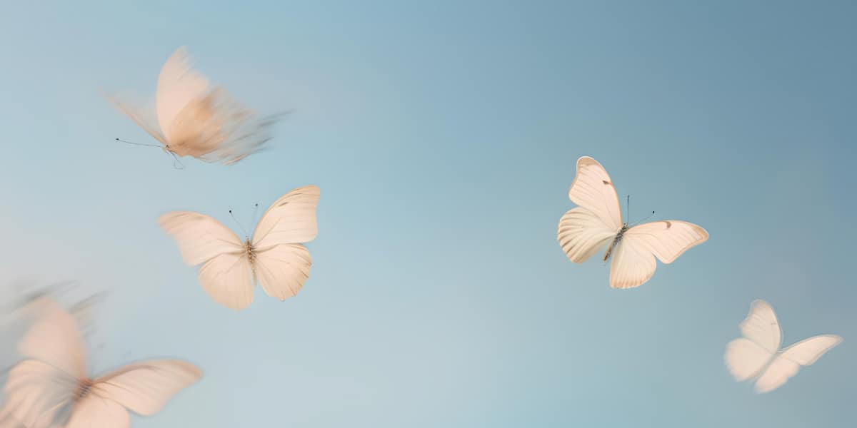 white butterflies fly across a blue sky
