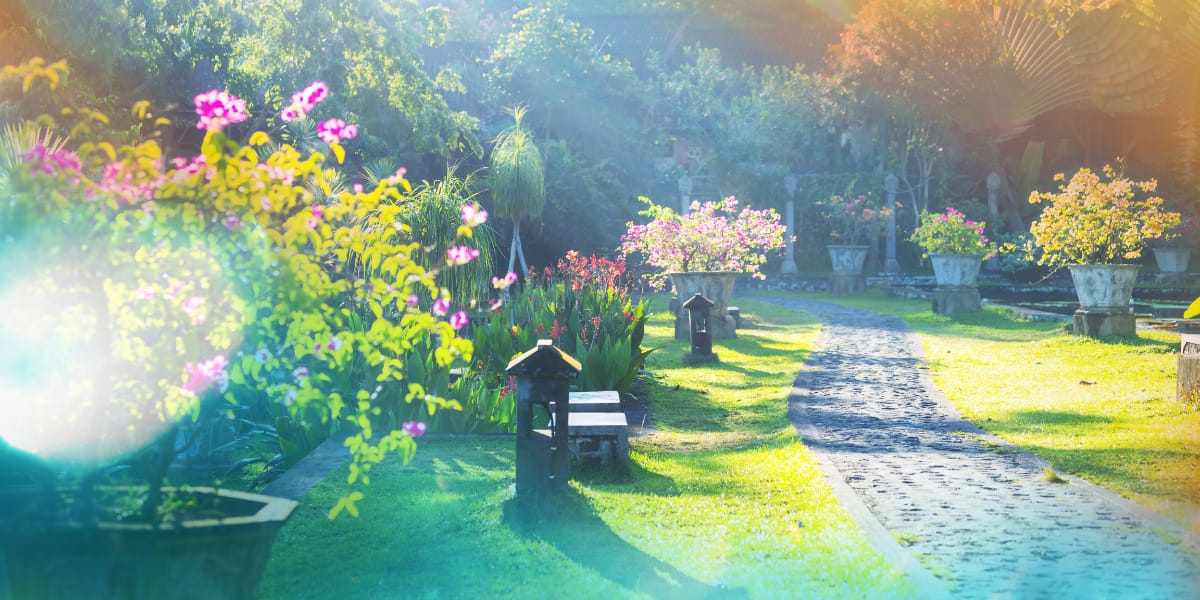 beautiful garden with a pathway down the middle and bright flowers on both sides of the path