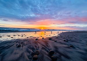 ocean sunset with seagulls and rocks in the foreground