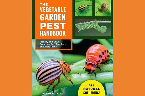 The vegetable garden pest handbook