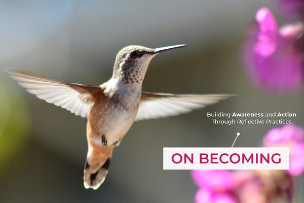 hummingbird flies next to purple blossoms On becoming: Building Awareness and Action Through Reflective Practices