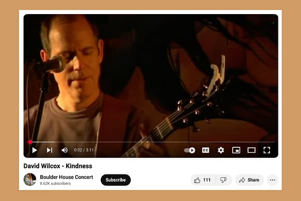 Kindness, by David Wilcox