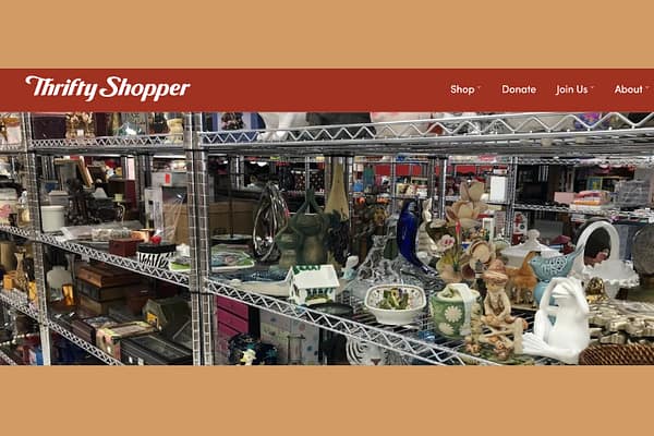 Thrifty Shopper