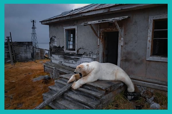 AP 100 Photos of 2025 The Defined the Year