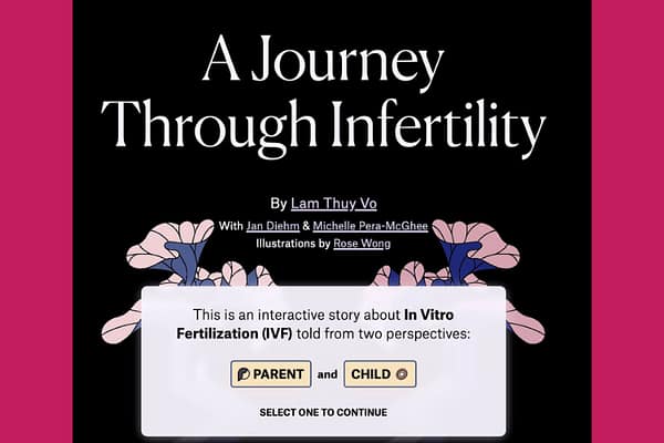 Journey through infertility (Pudding, March 2026)