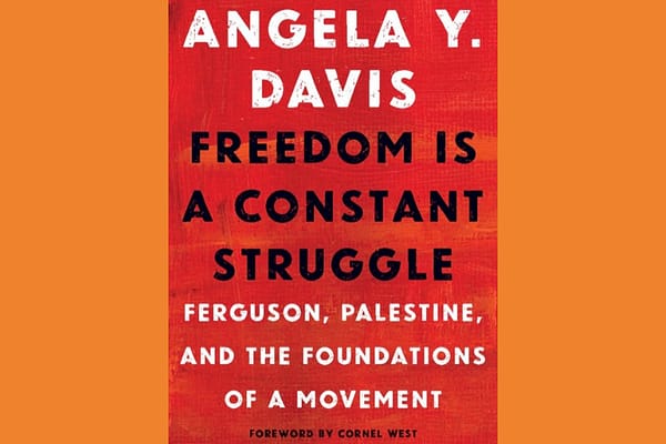 Freedom Is a Constant Struggle, by Angela Y. Davis