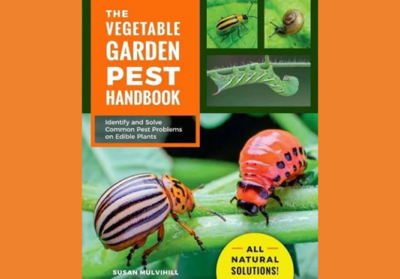 The vegetable garden pest handbook
