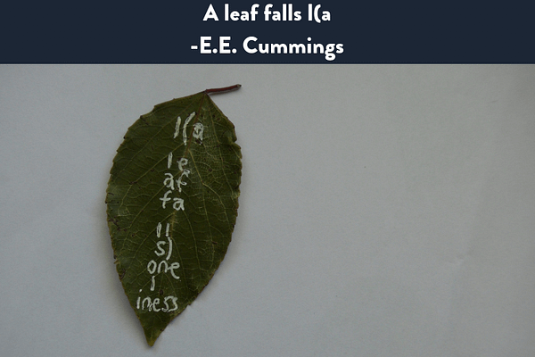 A leaf falls I(a on wikipedia