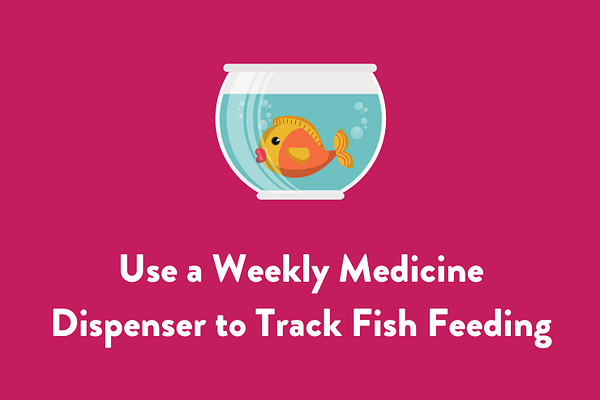 Use a Weekly Medicine Dispenser to Track Fish Feeding