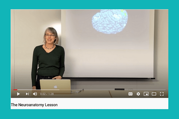 Nancy Kanwisher’s Neuroanatomy Lesson