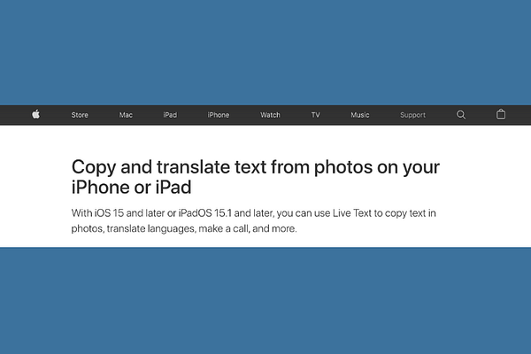 Get to know the live text feature on iOS