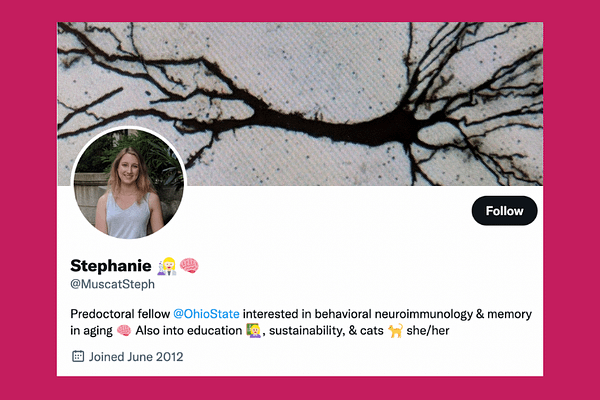 Stephanie’s bio on Twitter