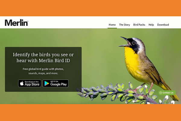 Merlin App