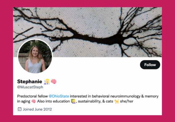Stephanie’s bio on Twitter