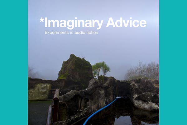 Imaginary Advice