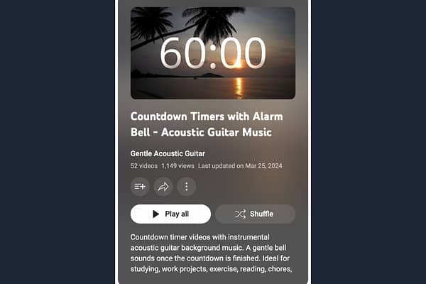 Acoustic Guitar Timers with Alarm Bell