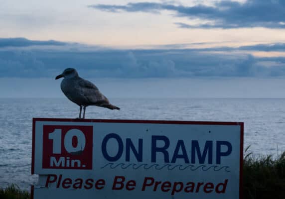 Photo: Seagull On Ramp by Orin Zebest on Flickr
