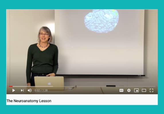 Nancy Kanwisher’s Neuroanatomy Lesson