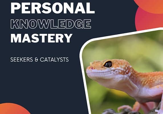 Personal Knowledge Mastery - Seekers and Catalysts Gecko sits on a branch