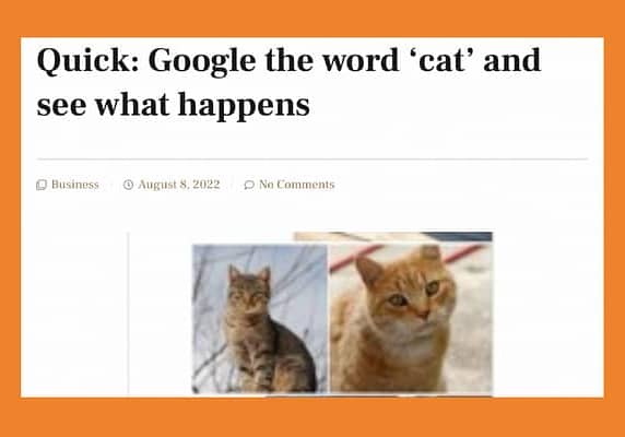 Google the word cat