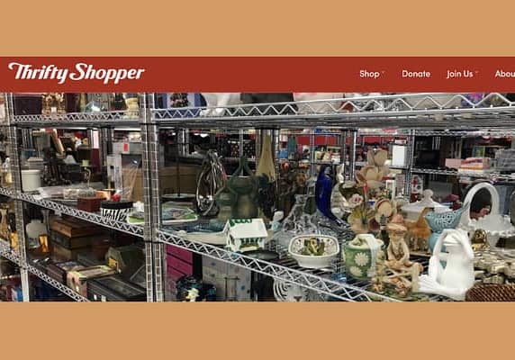 Thrifty Shopper