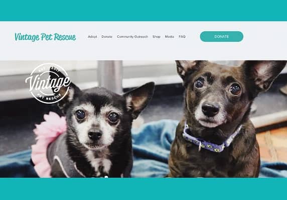 Vintage Pet Rescue